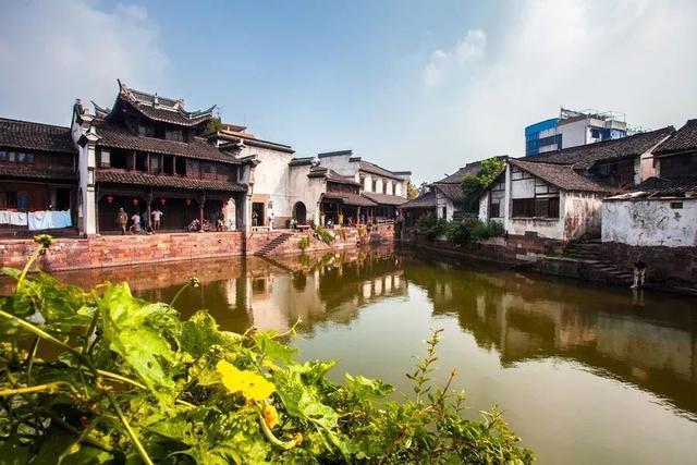 东北人“掏老底”安利,一口沦陷,不尝绝对后悔!
